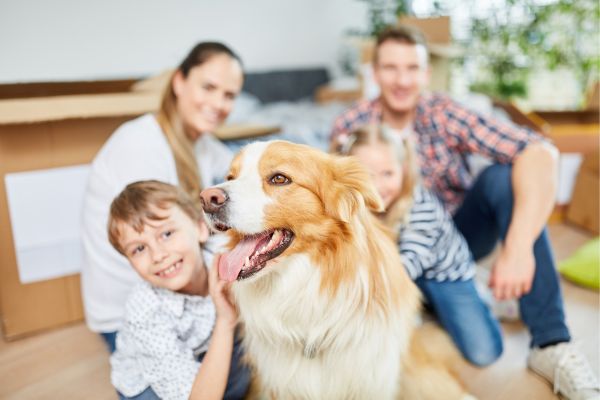 bienfaits chien famille