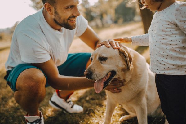 chien famille tolerance