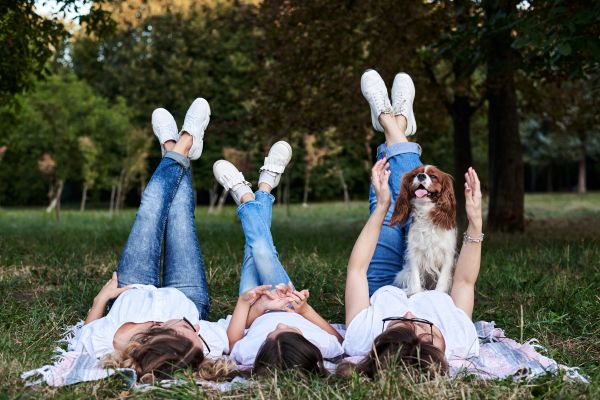 stress chien famille