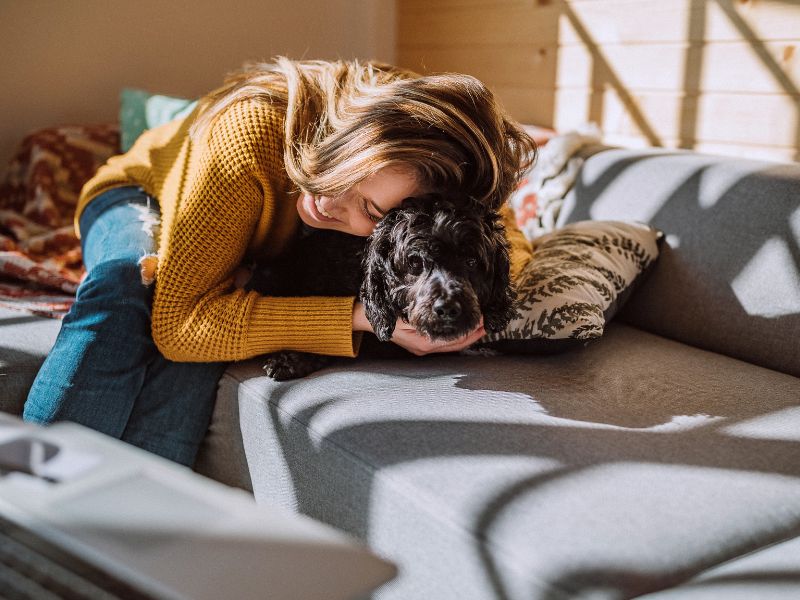 routines avec les animaux de compagnie