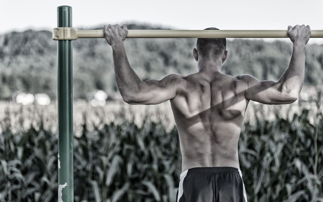 musculation streetlifting